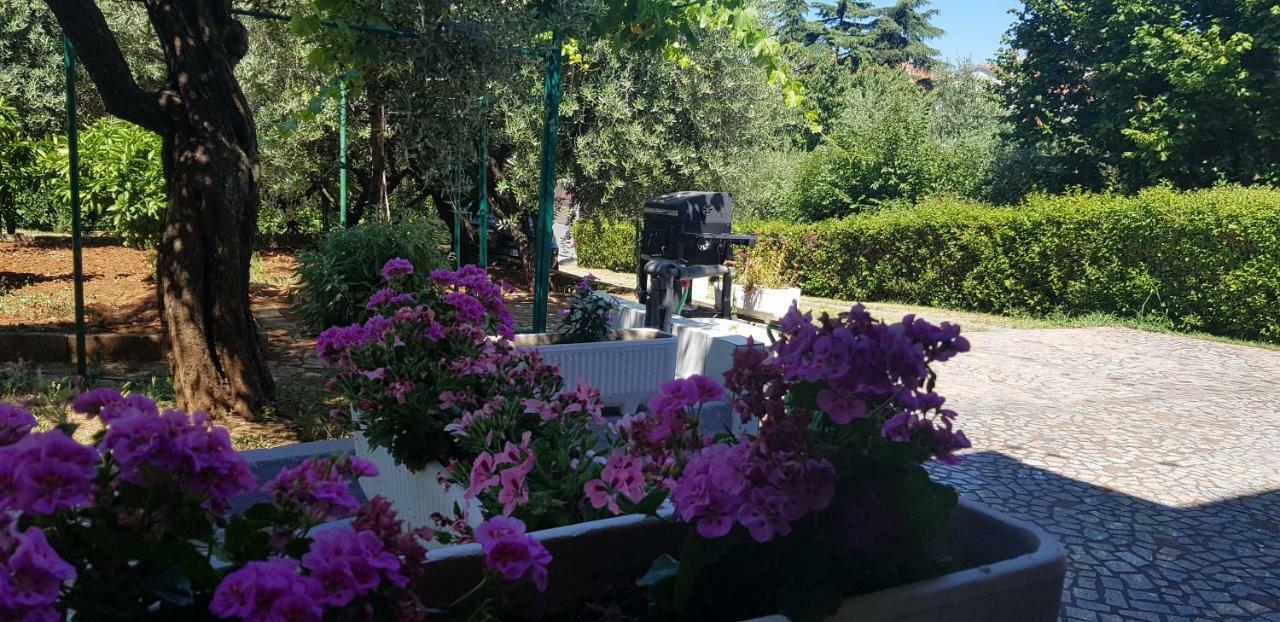 Clara 3 Apartamento Poreč Exterior foto
